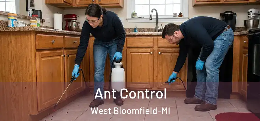 Ant Control West Bloomfield-MI