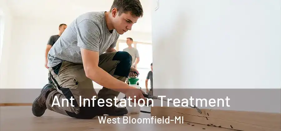 Ant Infestation Treatment West Bloomfield-MI