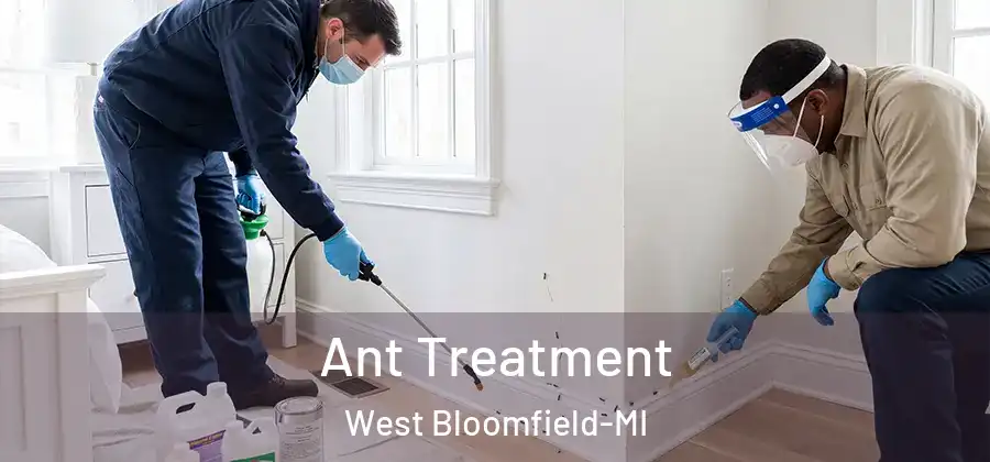 Ant Treatment West Bloomfield-MI
