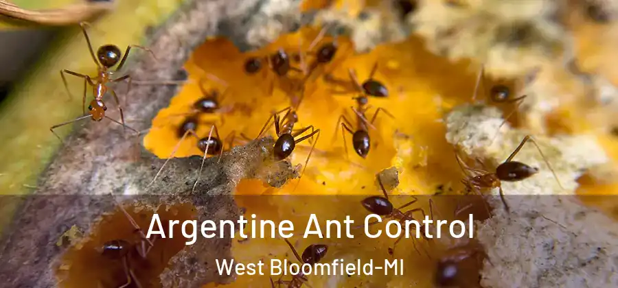 Argentine Ant Control West Bloomfield-MI