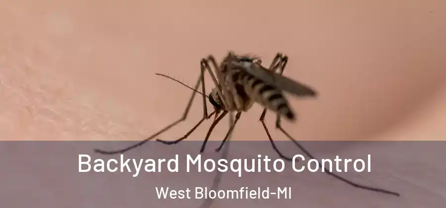 Backyard Mosquito Control West Bloomfield-MI