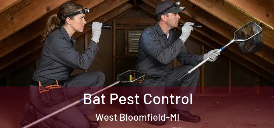 Bat Pest Control West Bloomfield-MI