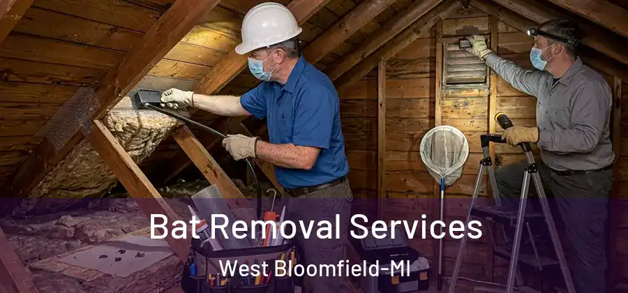 Bat Removal Services West Bloomfield-MI