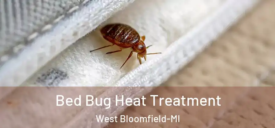 Bed Bug Heat Treatment West Bloomfield-MI