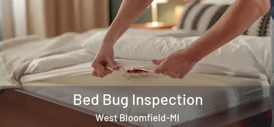 Bed Bug Inspection West Bloomfield-MI