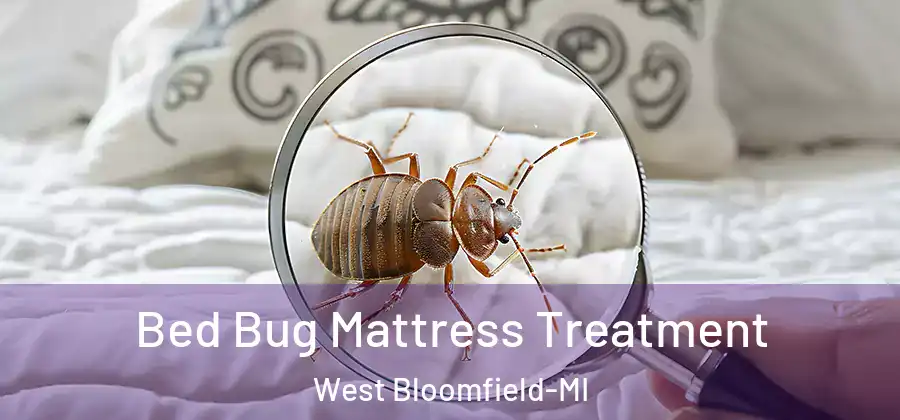 Bed Bug Mattress Treatment West Bloomfield-MI
