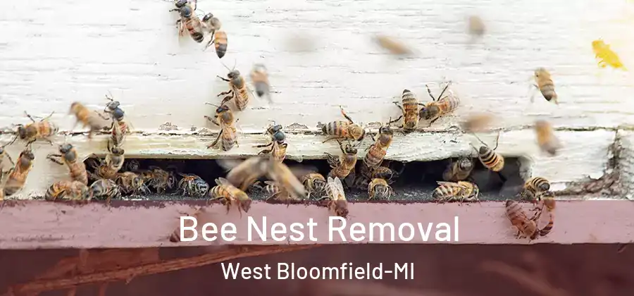 Bee Nest Removal West Bloomfield-MI