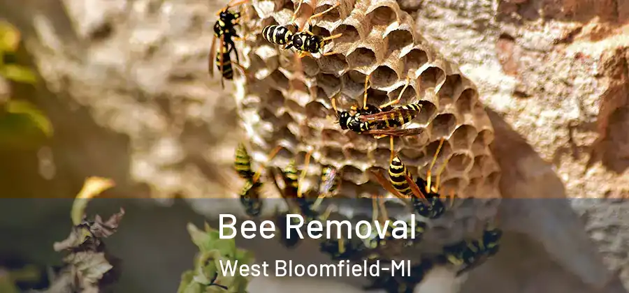 Bee Removal West Bloomfield-MI