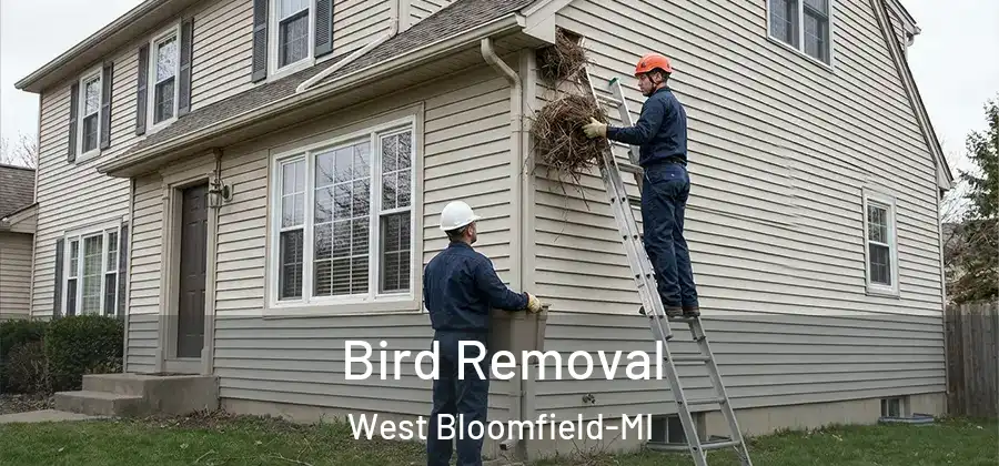 Bird Removal West Bloomfield-MI