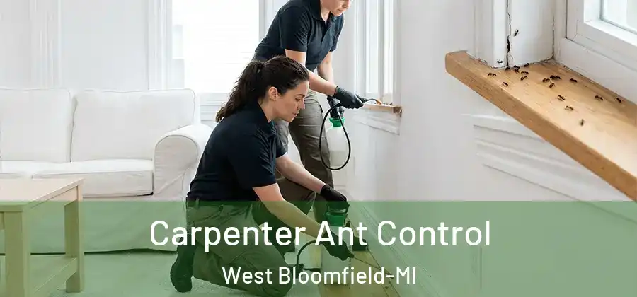 Carpenter Ant Control West Bloomfield-MI