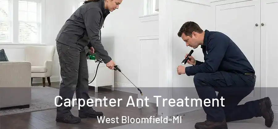  Carpenter Ant Treatment West Bloomfield-MI