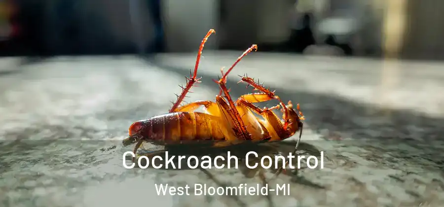 Cockroach Control West Bloomfield-MI