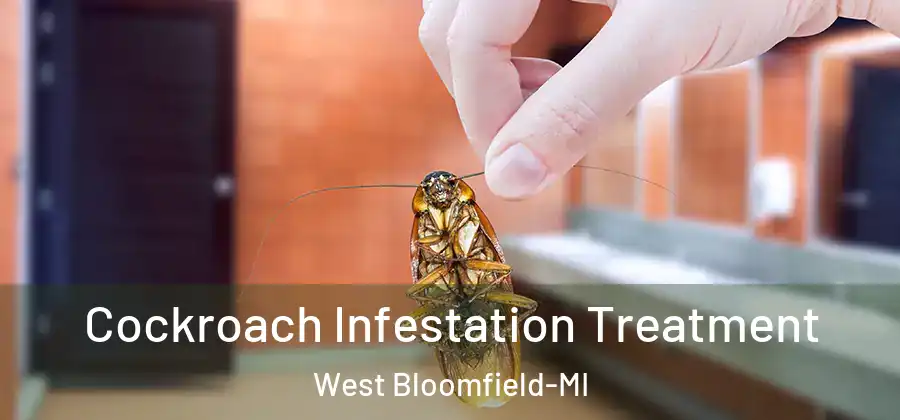  Cockroach Infestation Treatment West Bloomfield-MI
