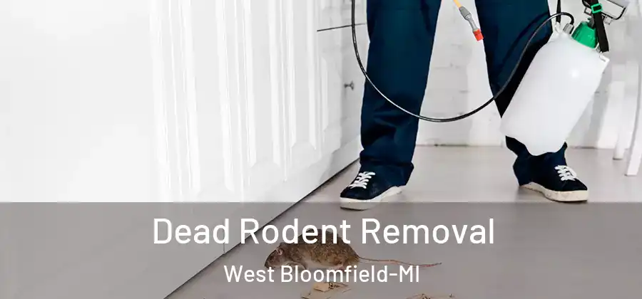 Dead Rodent Removal West Bloomfield-MI