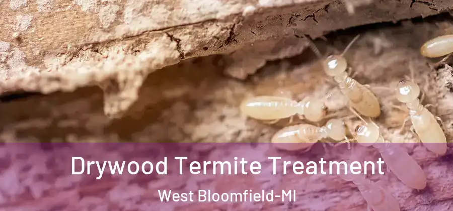  Drywood Termite Treatment West Bloomfield-MI