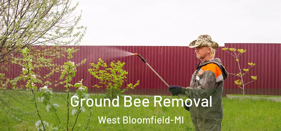 Ground Bee Removal West Bloomfield-MI
