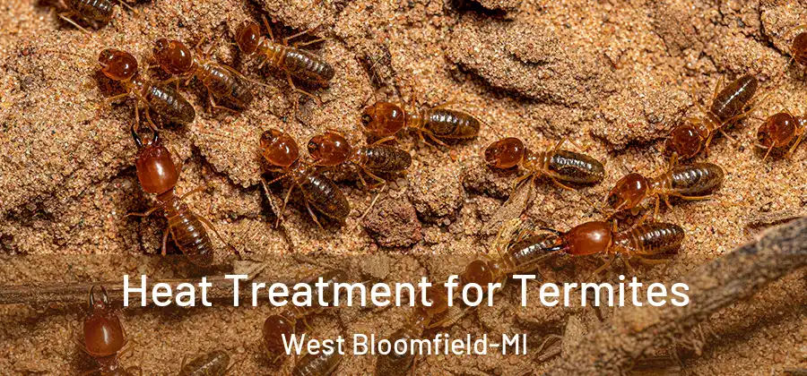  Heat Treatment for Termites West Bloomfield-MI
