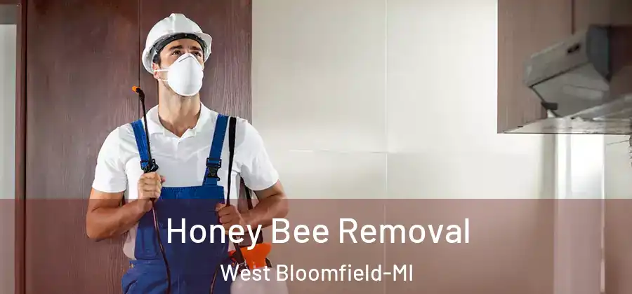 Honey Bee Removal West Bloomfield-MI
