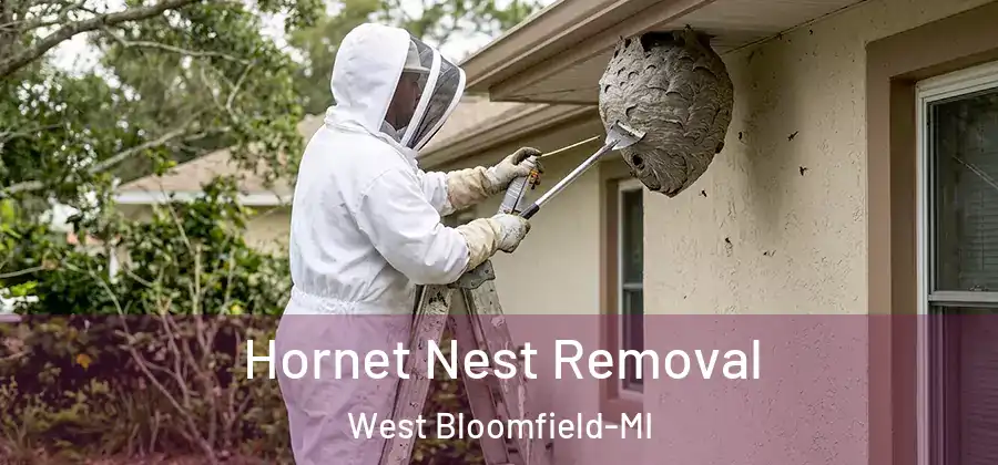 Hornet Nest Removal West Bloomfield-MI