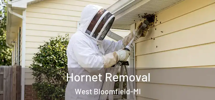 Hornet Removal West Bloomfield-MI