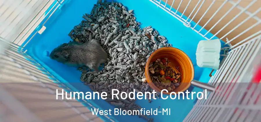 Humane Rodent Control West Bloomfield-MI