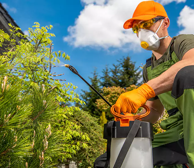 Your Best Bug Spray for Home Team in West Bloomfield, MI