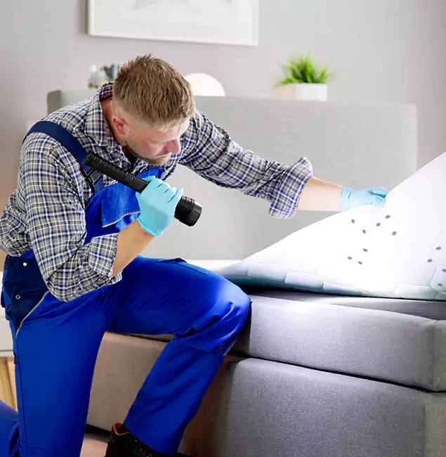 Why Choose West Bloomfield Pest Control Pro For Bed Bug Heat Treatment in West Bloomfield, MI?