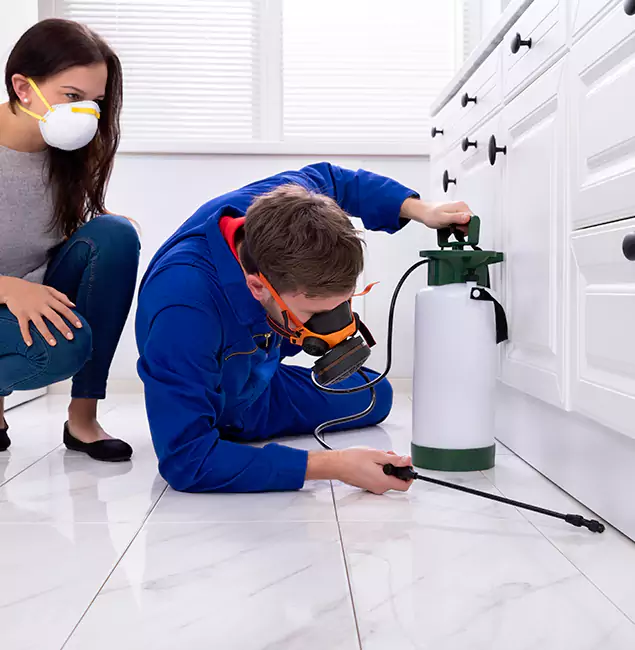 Why West Bloomfield, MI Homeowners Trust West Bloomfield Pest Control Pro for Roach Control?