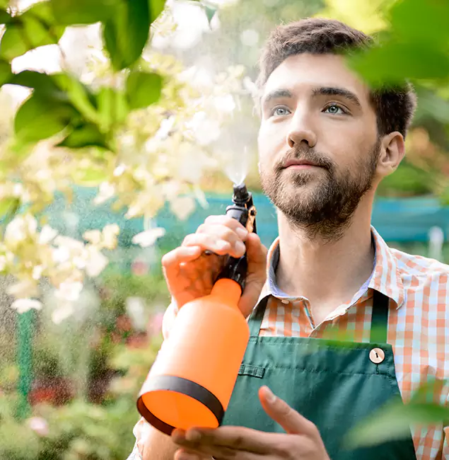 Why West Bloomfield Pest Control Pro Is the Best Mosquito Control Company in West Bloomfield, MI?