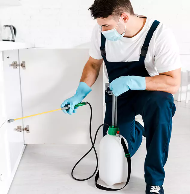 Why Choose West Bloomfield Pest Control Pro for Termite Spot Treatment in West Bloomfield, MI?