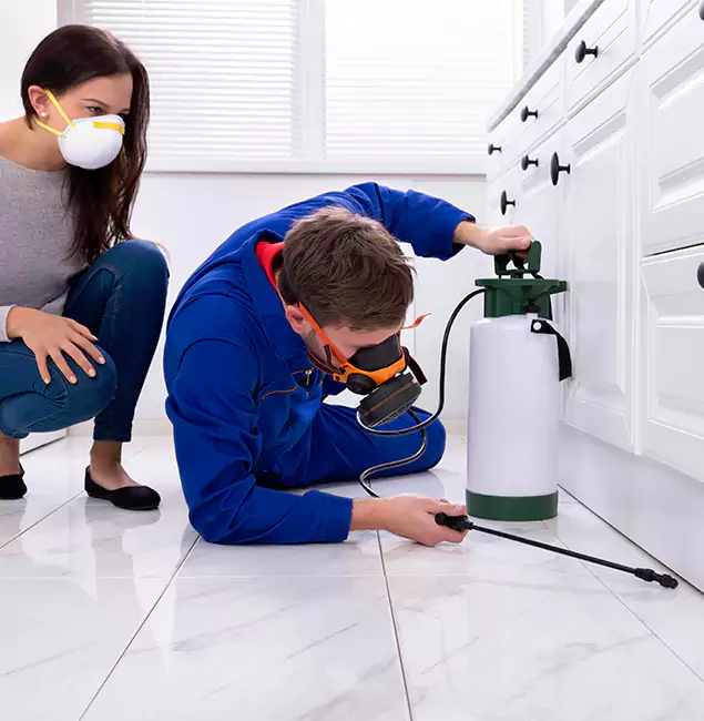 Why Choose Wood Termite Treatment by West Bloomfield Pest Control Pro in West Bloomfield, MI?