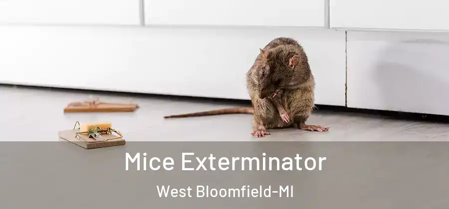 Mice Exterminator West Bloomfield-MI