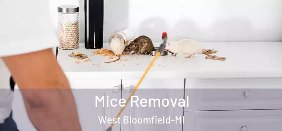 Mice Removal West Bloomfield-MI