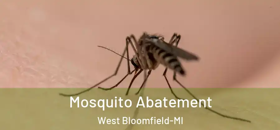 Mosquito Abatement West Bloomfield-MI