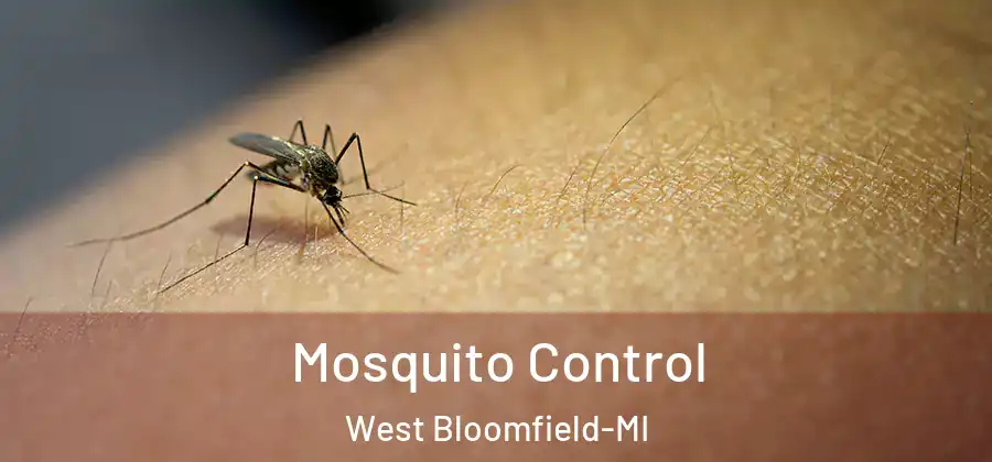 Mosquito Control West Bloomfield-MI