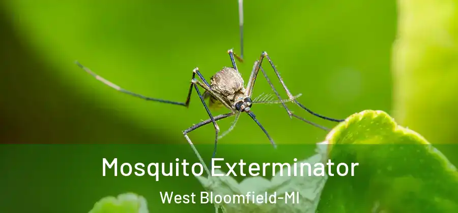 Mosquito Exterminator West Bloomfield-MI