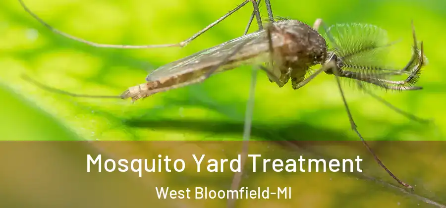 Mosquito Yard Treatment West Bloomfield-MI