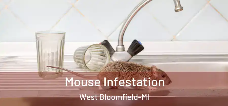 Mouse Infestation West Bloomfield-MI
