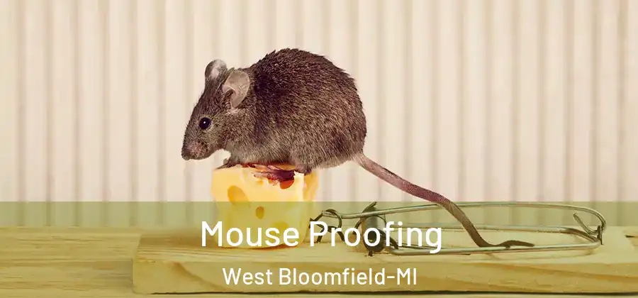 Mouse Proofing West Bloomfield-MI