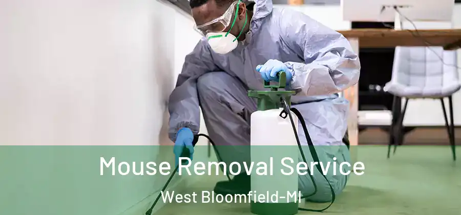 Mouse Removal Service West Bloomfield-MI