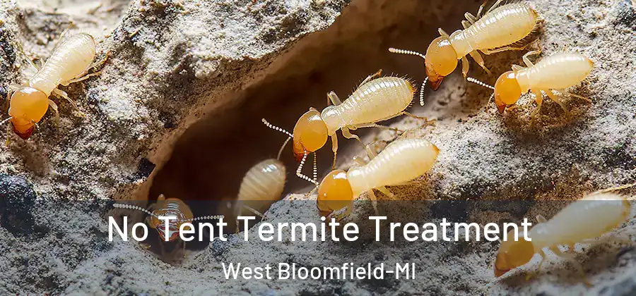 No Tent Termite Treatment West Bloomfield-MI