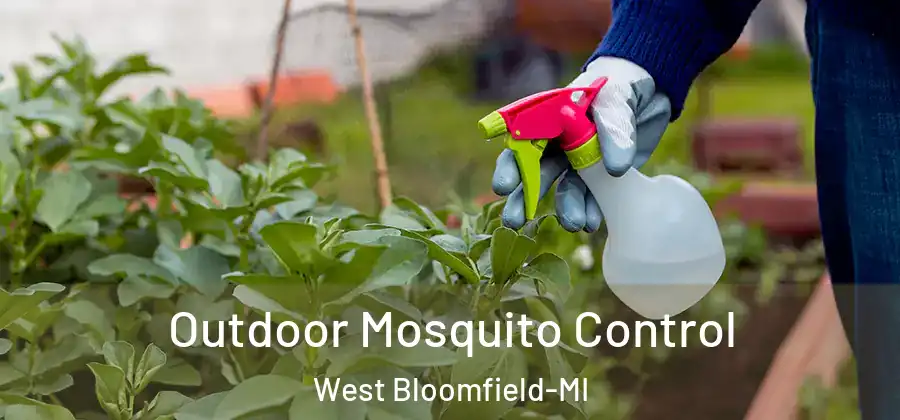 Outdoor Mosquito Control West Bloomfield-MI