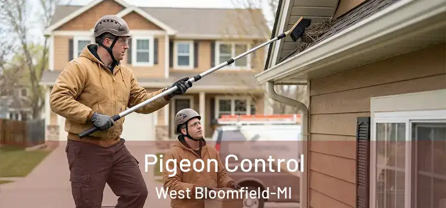 Pigeon Control West Bloomfield-MI