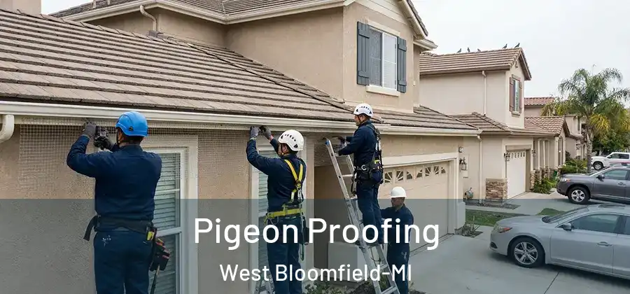 Pigeon Proofing West Bloomfield-MI