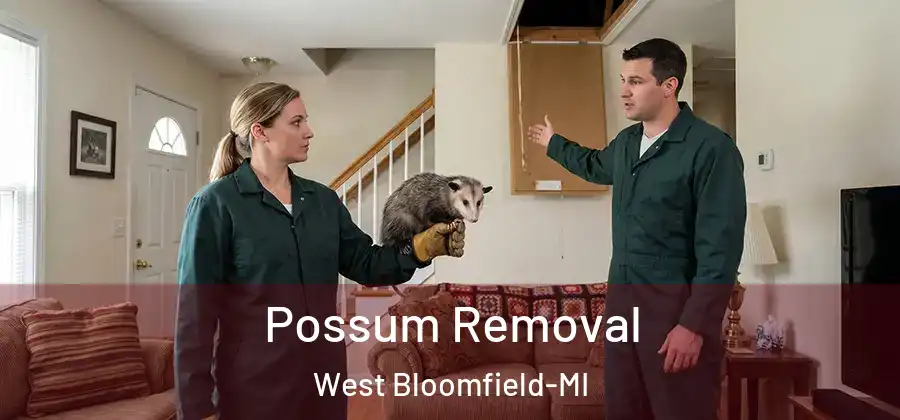 Possum Removal West Bloomfield-MI