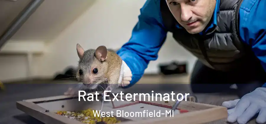 Rat Exterminator West Bloomfield-MI