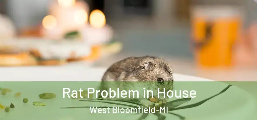  Rat Problem in House West Bloomfield-MI