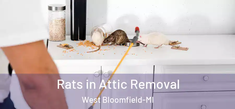 Rats in Attic Removal West Bloomfield-MI