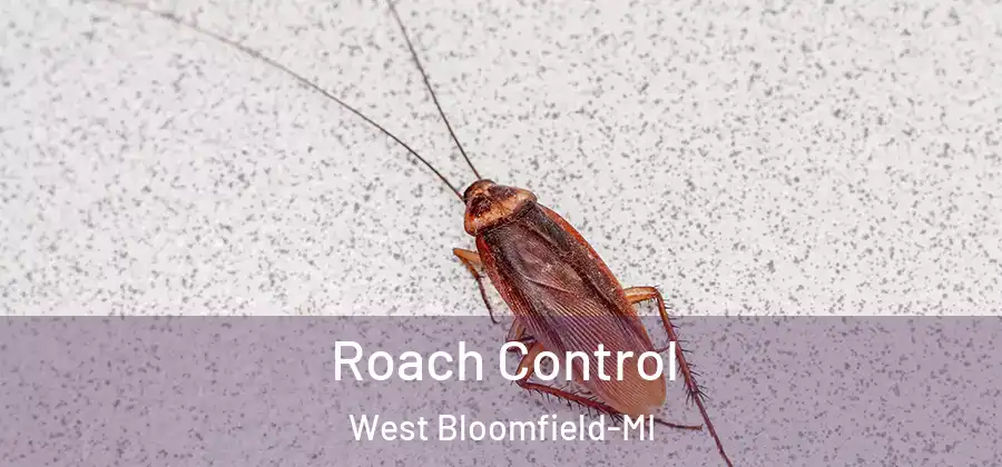 Roach Control West Bloomfield-MI