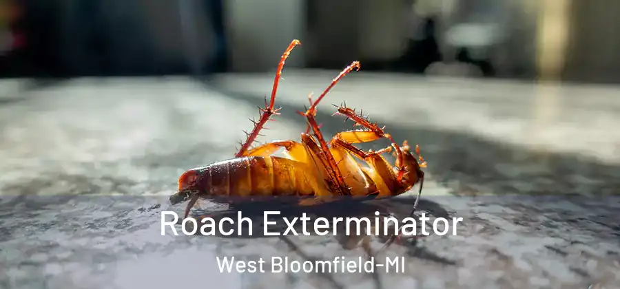 Roach Exterminator West Bloomfield-MI